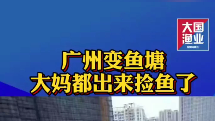 天气
